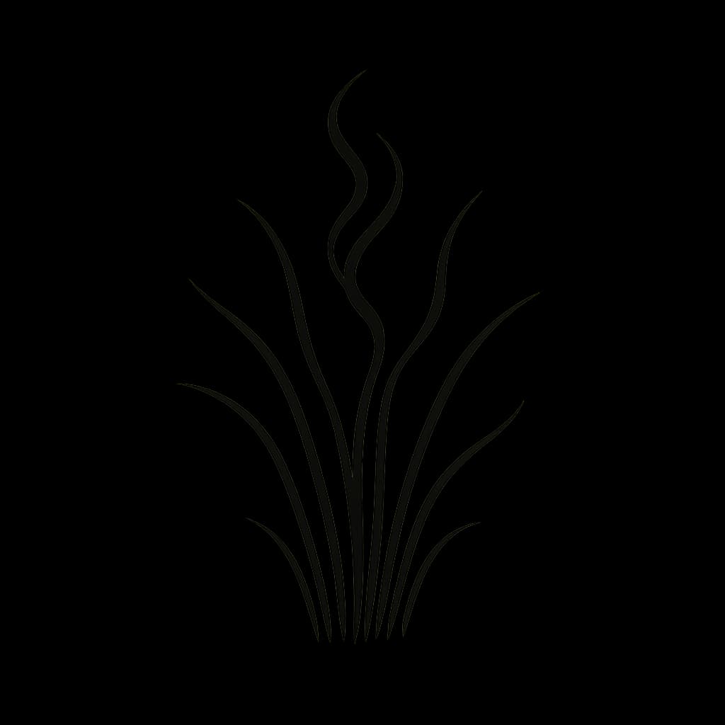 Image representing Grass