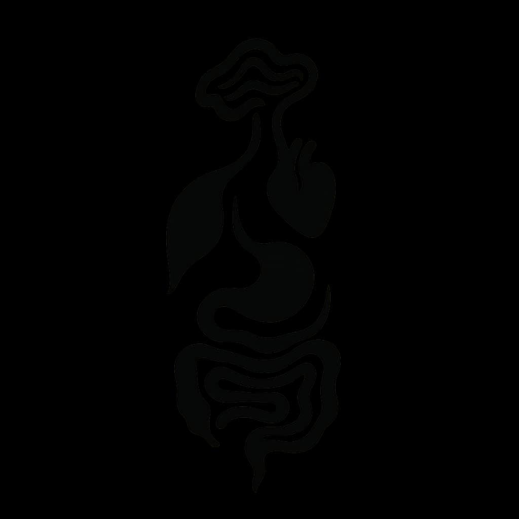 Image representing Organs