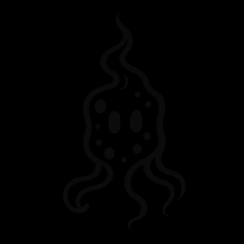 Image representing Sponge