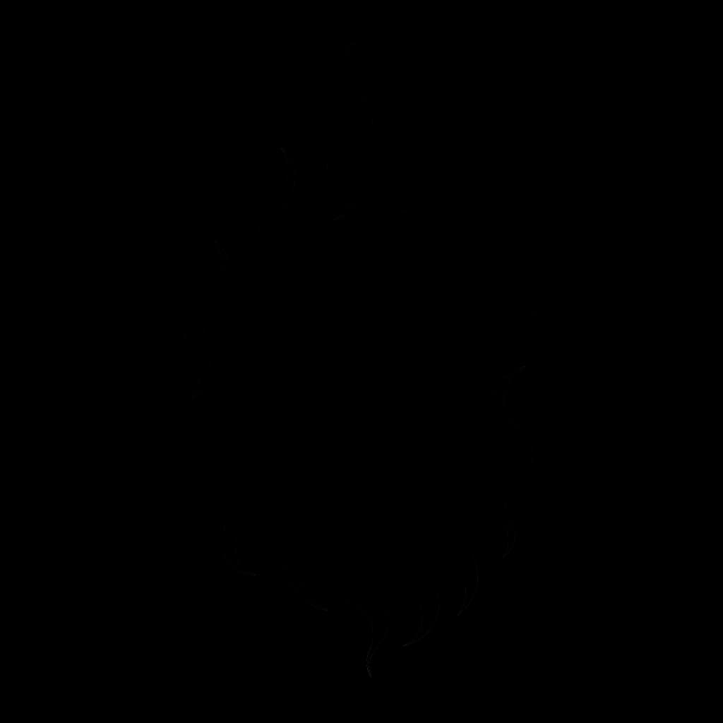 Image representing Black Bear