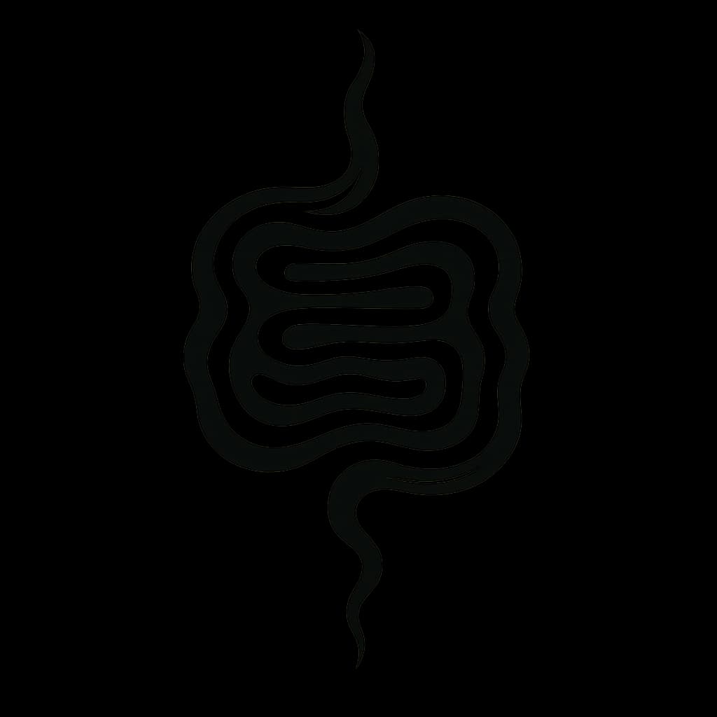 Image representing Intestine