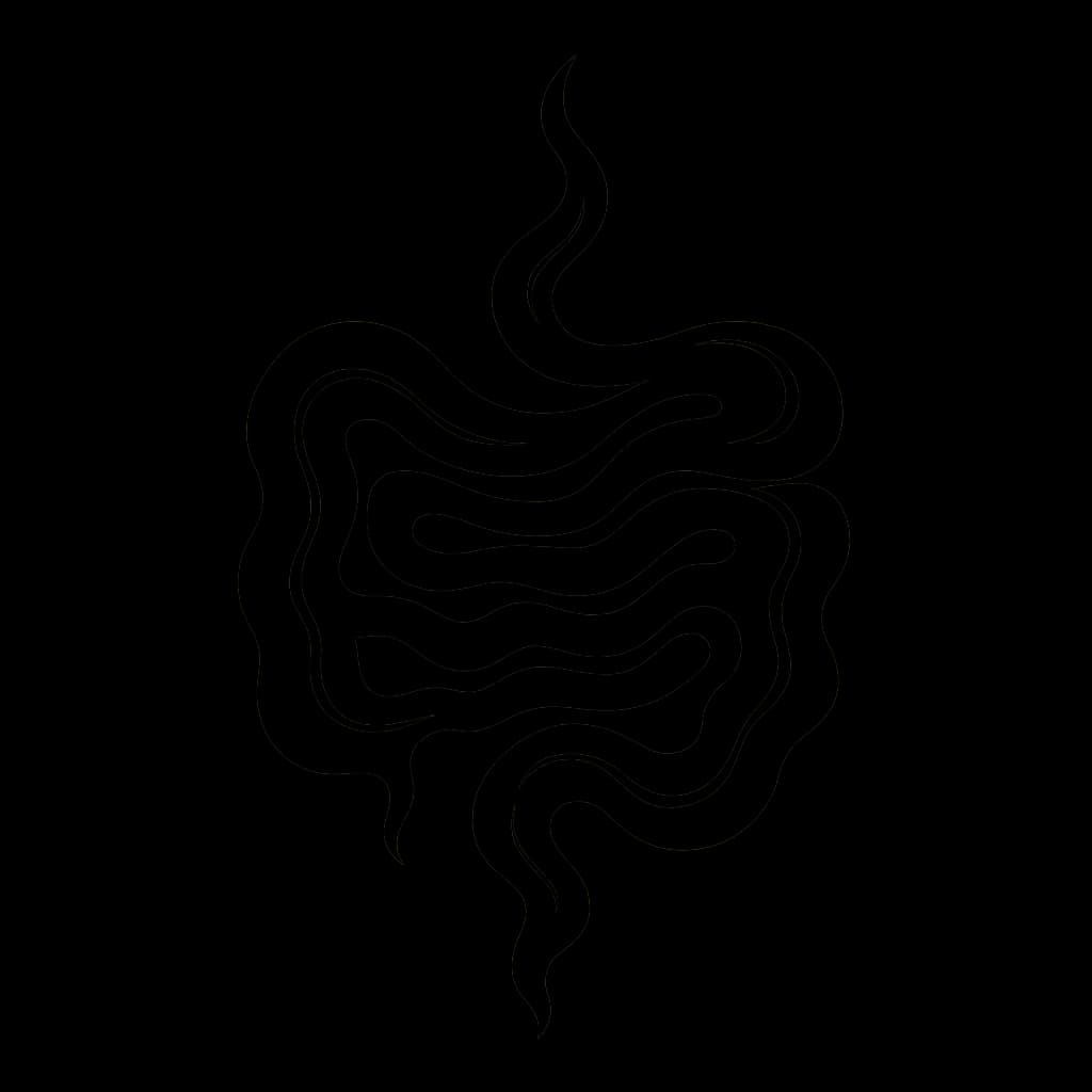 Image representing Intestines